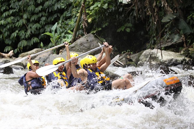 Full-Day Ayung River White Water Rafting and Ubud Tour - Tohpati and Celuk craft stops, short cultural wins on the way