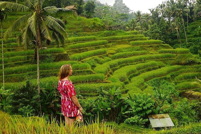 Full-Day in Bali: Private Design-Your-Own Tour - How the 10-Hour Day Works From 8:30 am