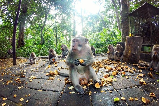 Full-Day in Bali: Private Design-Your-Own Tour - Practical Tips That Make This Tour Feel Easy
