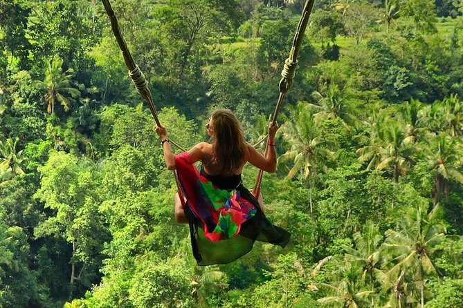Full-Day in Bali: Private Design-Your-Own Tour - Price and Value: What $35 Covers (and What It Does Not)