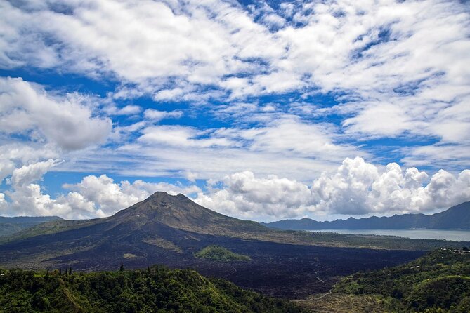 Full Day Kintamani Volcano View and Ubud Village Tour - Key things I’d pay attention to