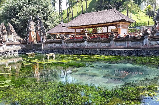 Full Day Kintamani Volcano View and Ubud Village Tour - The Amora Bali Buffet Lunch: Where the Mt. Batur View Pays Off