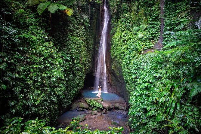 Full-Day Tour to Water Temples and UNESCO Rice Terraces in Bali - Price and Logistics: Does $39 Make Sense?