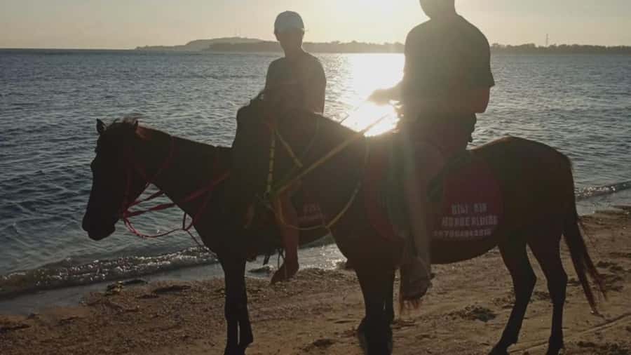 Gili Air: 1-Hour Horse Riding Adventure - Sunset Ride Potential: When Photos Actually Look Good