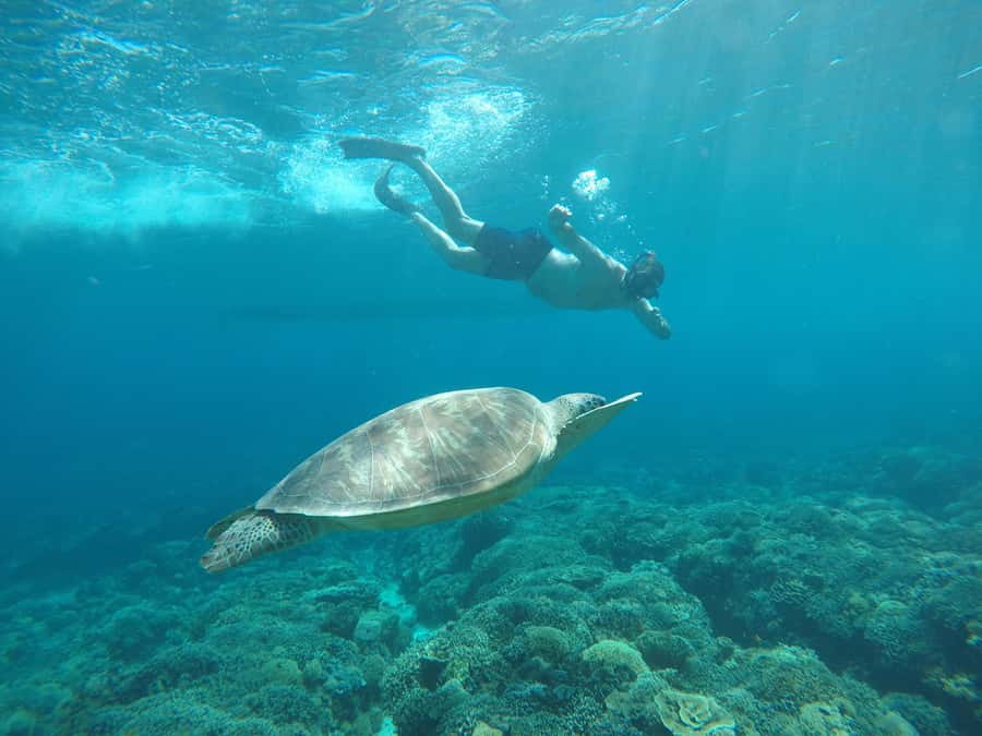Gili Air Share Snorkeling Tour With GOPRO Documentation - Key things to know before you go