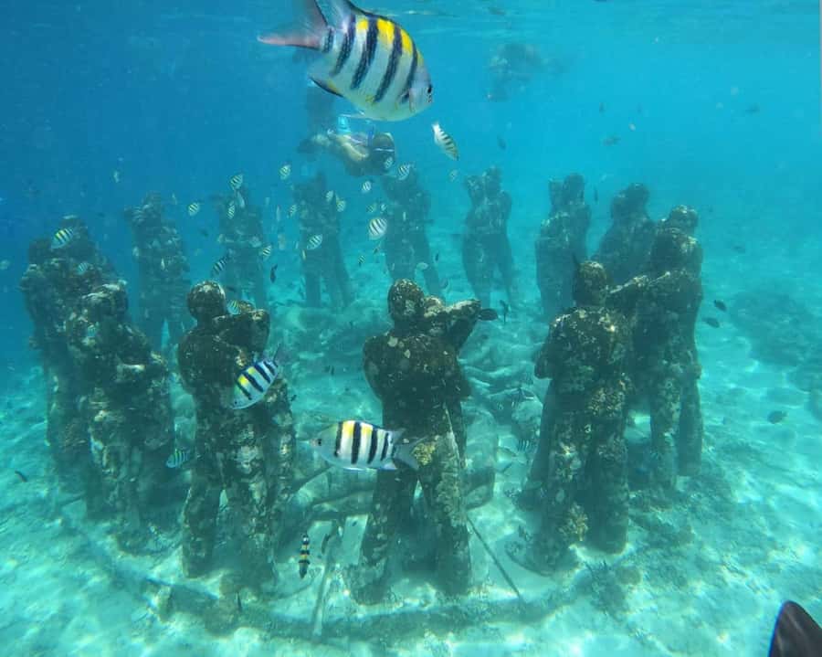 Gili Air : Sharing Snorkeling Tour + Gopro Shooting - Meeting Budiman on Gili Air, then heading out by glass-bottom boat