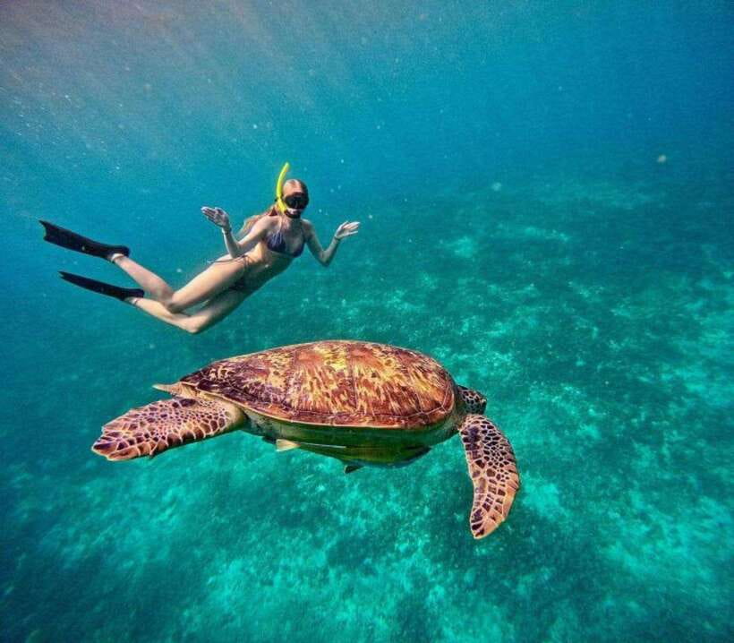 Gili Air: Snorkeling 3 Gili Islands with GoPro Camera - What You’ll Really Be Doing