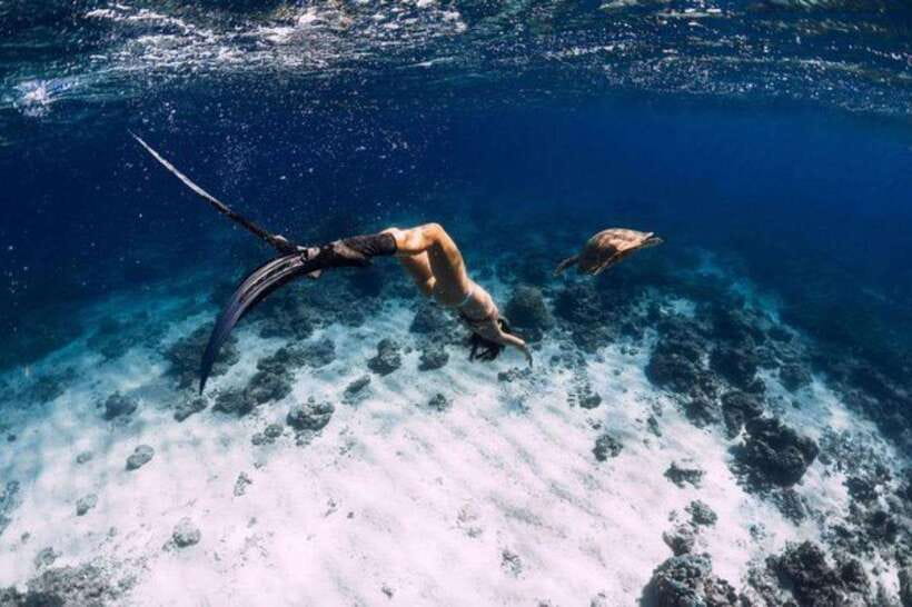 Gili Air: Snorkeling 3 Gili Islands with GoPro Camera - Blue Coral Gardens: Where the Fish Do the Showing Off