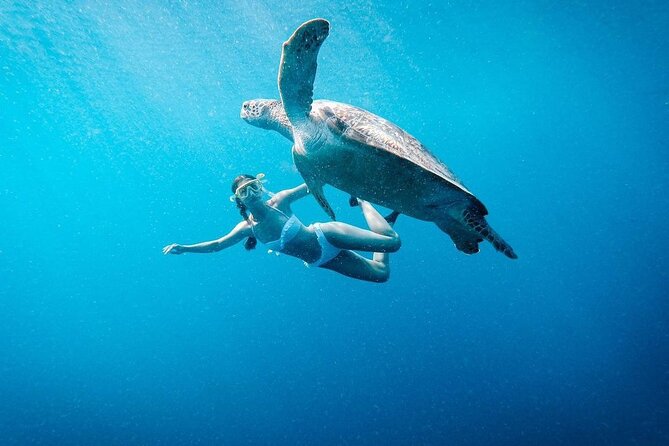 Gili Island Snorkeling Trip - Gili Trawangan, Gili Meno, & Gili Air, From Lombok - Key Highlights You’ll Care About