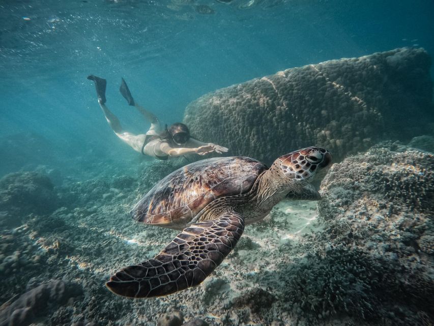 Gili Islands: Group or Private Snorkeling Tour with GoPro - Key things to know before you go