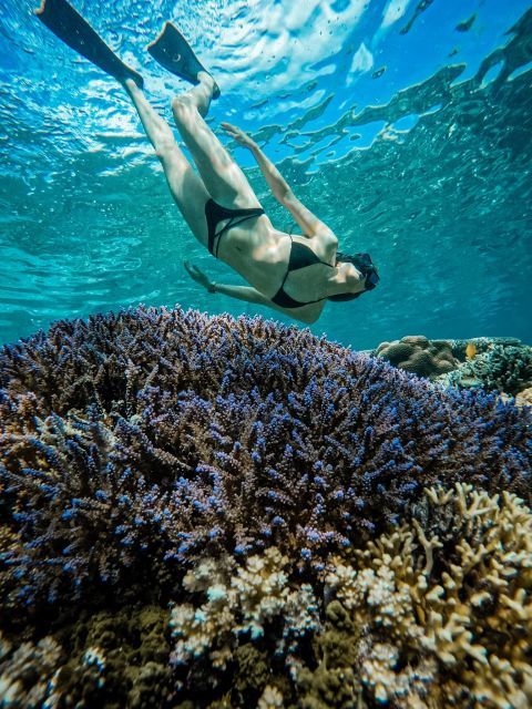 Gili Islands: Group or Private Snorkeling Tour with GoPro - Deluxe option with shared GoPro: when it’s worth paying extra