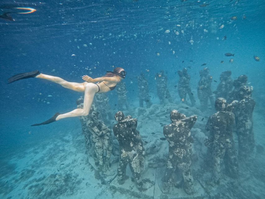 Gili Islands: Group or Private Snorkeling Tour with GoPro - Price and value: what $14 covers, and what it doesn’t