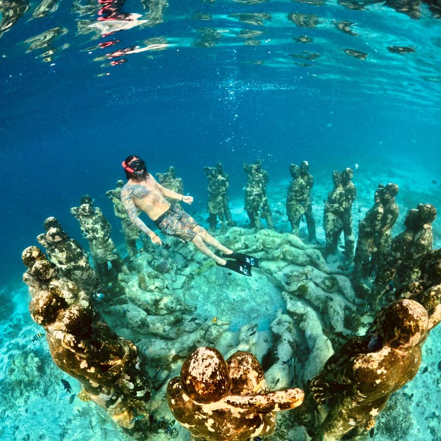 Gili Islands: Private or Shared Snorkeling Boat Trip - Price and Value: What You Actually Get for the $14