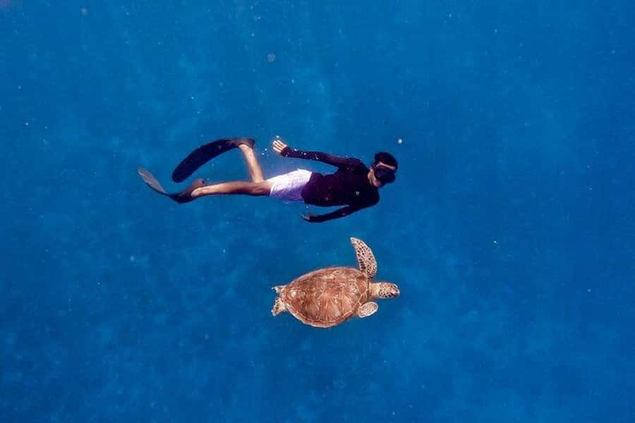 Gili Islands: Private Snorkeling Boat Tour with Local Guide - Gili Trawangan: turtles, underwater statues, and reef time