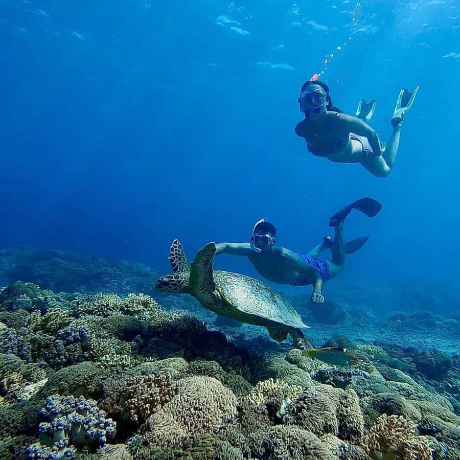 Gili Islands: Private Snorkeling Boat Tour with Local Guide - Gili Air: beach reset, fresh air, and an easier pace