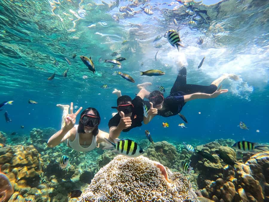 Gili Islands: Private Snorkeling Boat Tour with Local Guide - Guides and the GoPro factor: why this tour feels personal