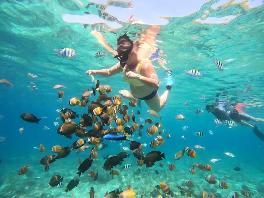 Gili Islands: Private Snorkeling Boat Tour with Local Guide - The full island run: Gili Trawangan, Gili Meno, Gili Air