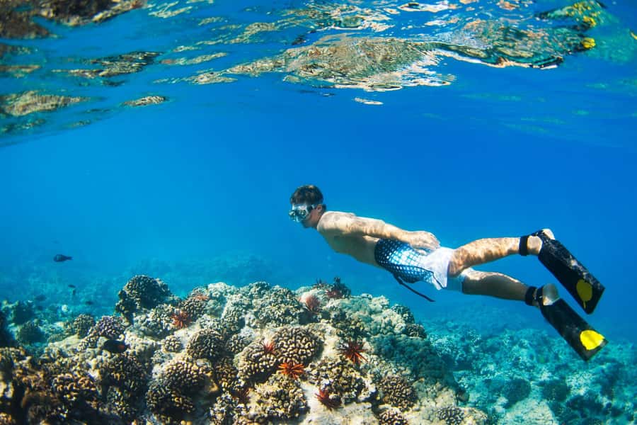 Gili Islands: Underwater Statues Cruise and Snorkeling - Glass-bottom boat first, so you can orient fast