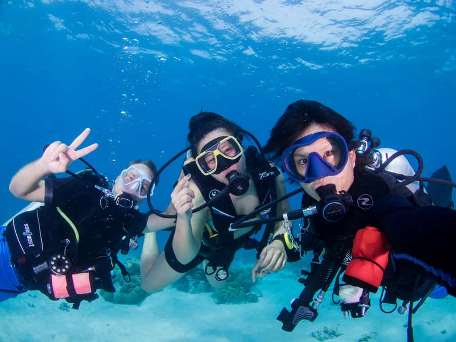 Gili Meno: Discover Scuba Diving for the first time - Key Highlights I’d Plan Around