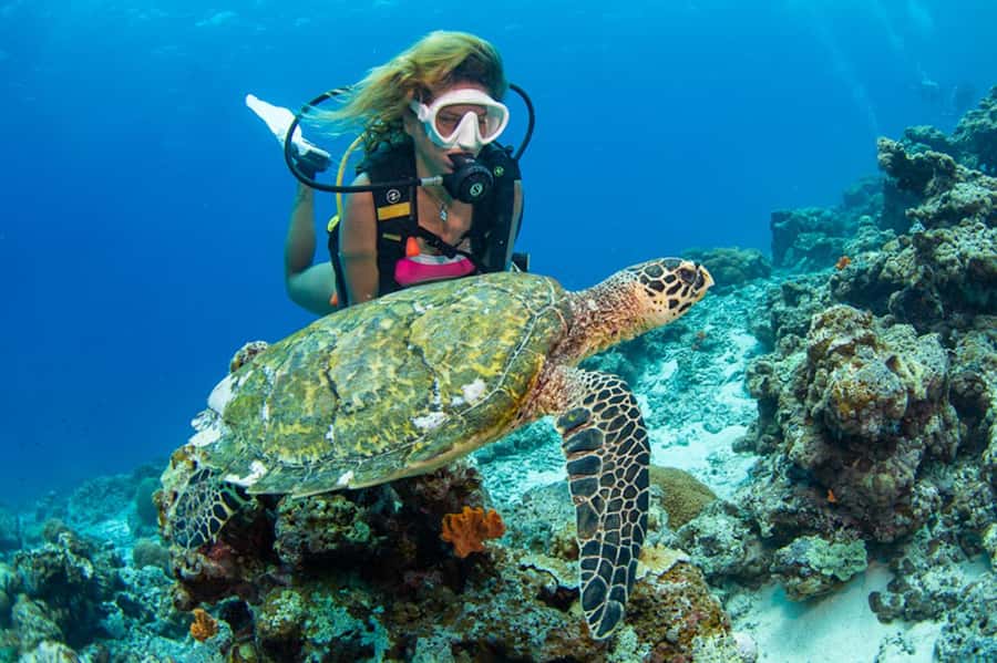 Gili Meno: Discover Scuba Diving for the first time - Meeting at Divine Divers on Sunset Beach: The Setup That Matters