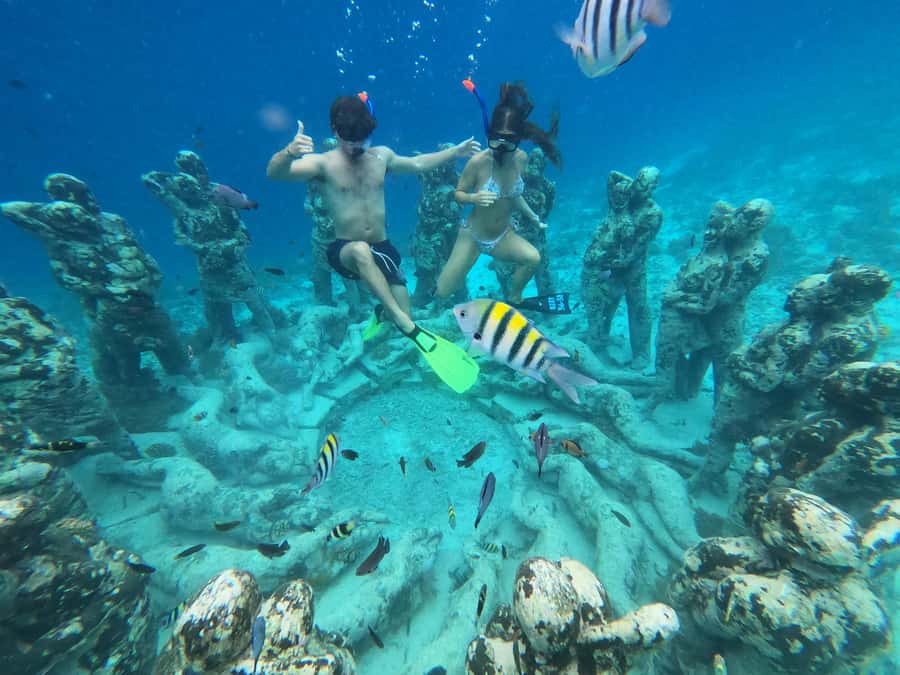 Gili Snorkeling Tour With GO PRO Documentation - Price and value at $13, what you are really buying