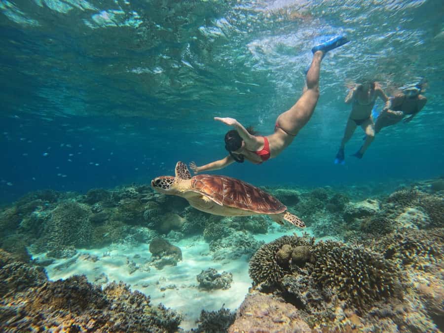 Gili SUNSET Snorkeling Tour With GOPRO Documentation - Snorkeling Stop Goals: Turtles, Blue Coral, and Reef Life