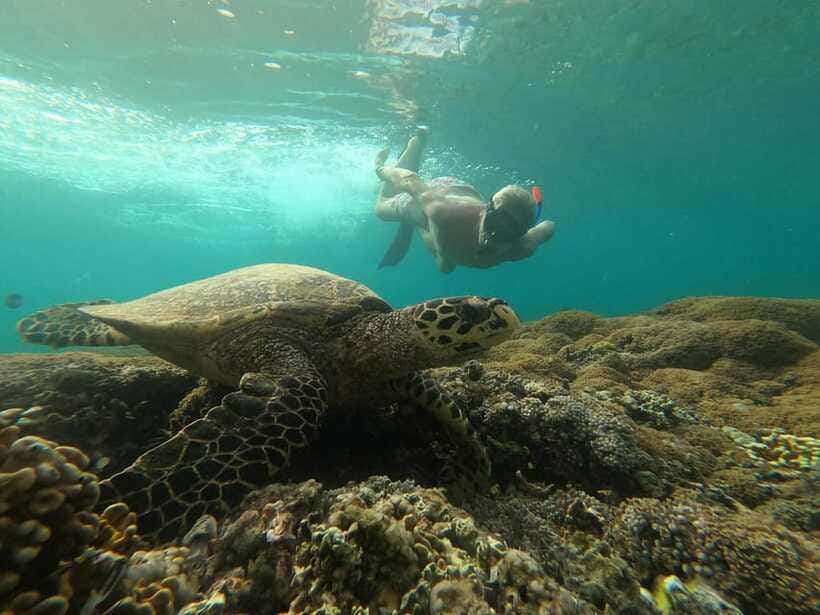 Gili SUNSET Snorkeling Tour With GOPRO Documentation - The Underwater Statue: Why It’s More Than a Photo Spot