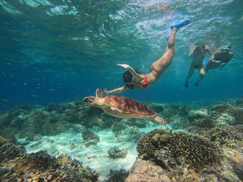 Gili SUNSET Snorkeling Tour With GOPRO Documentation - Timing for Sunset: What You Should Expect at the End