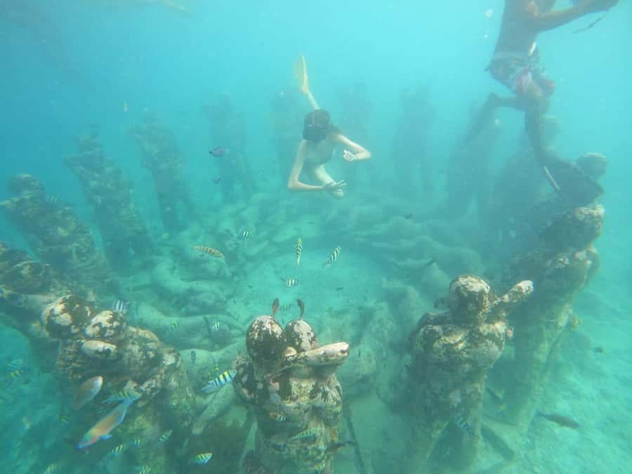 Gili T Island: Gili Snorkeling Day Trip Swim With Turtles - First steps at Kayu Cafe, then straight into the water
