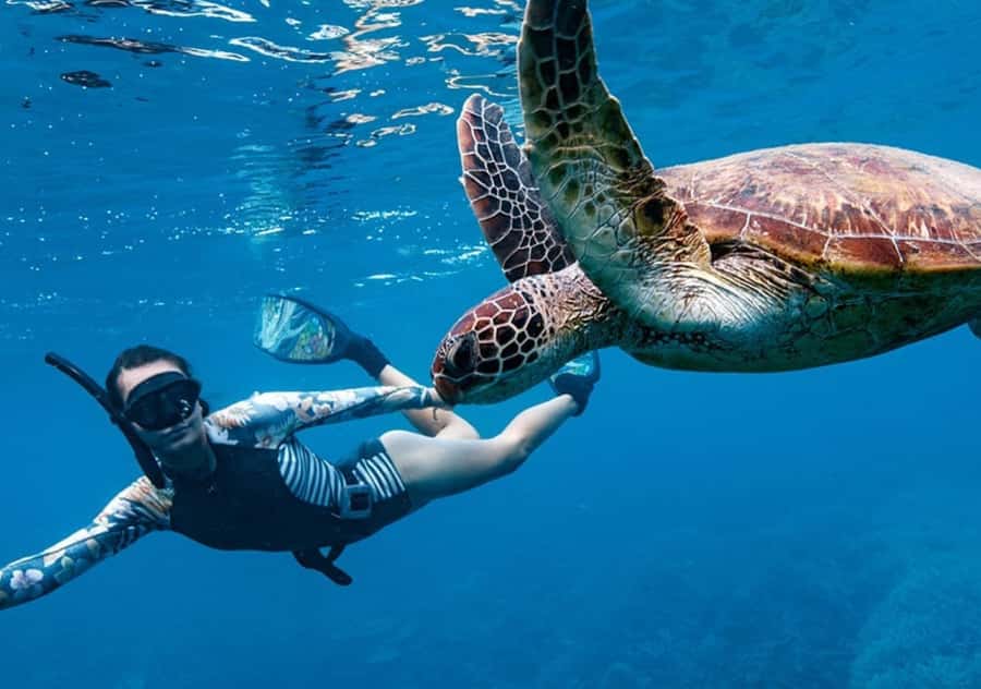 Gili T Island: Gili Snorkeling Day Trip Swim With Turtles - Gili Meno mainland time, turtle sanctuary stroll and beach reset