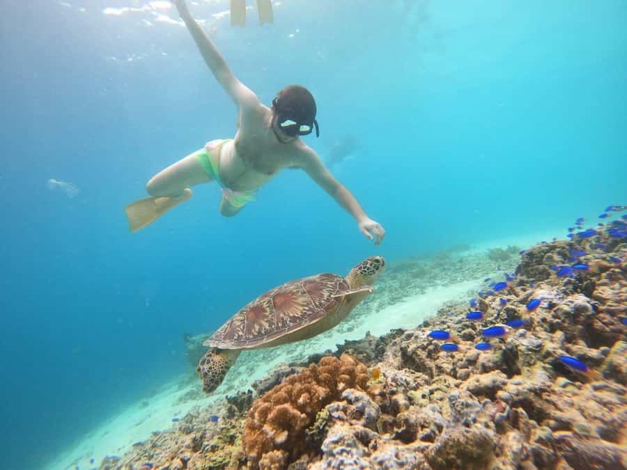Gili T Island: Gili Snorkeling Day Trip Swim With Turtles - The boat ride on a glass-bottom vessel