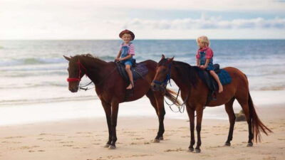 Beach Horseback Riding with Pickup Hotel