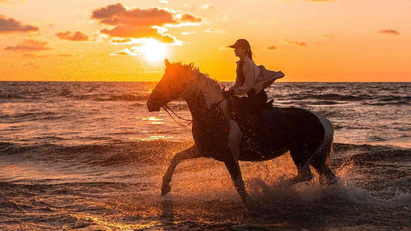 Gili Trawangan: Beach Horseback Riding with Pickup Hotel - Meeting Your Guide: Friendly Help and a Backup for Your Photos