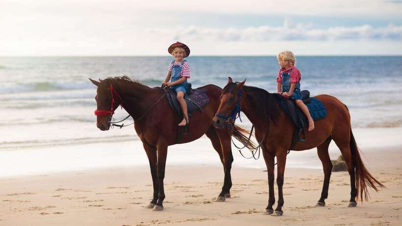 Gili Trawangan: Beach Horseback Riding with Pickup Hotel - Pickup From Your Hotel: The Convenience Factor on Gili Trawangan