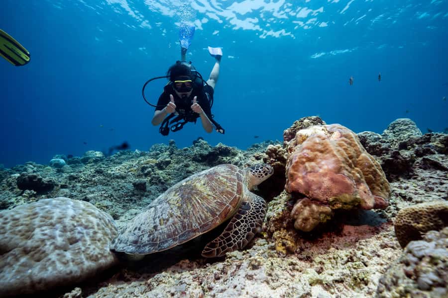 Gili Trawangan : Discovery Scuba Diving - Key points to know before you go