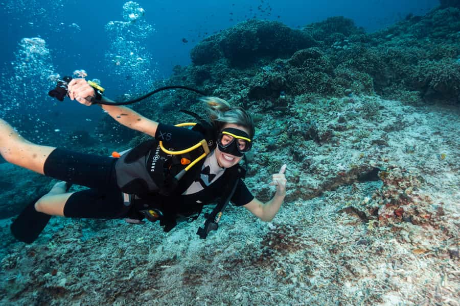 Gili Trawangan : Discovery Scuba Diving - What You’ll See Underwater: Turtles, Reef Sharks, and Small Reef Stars