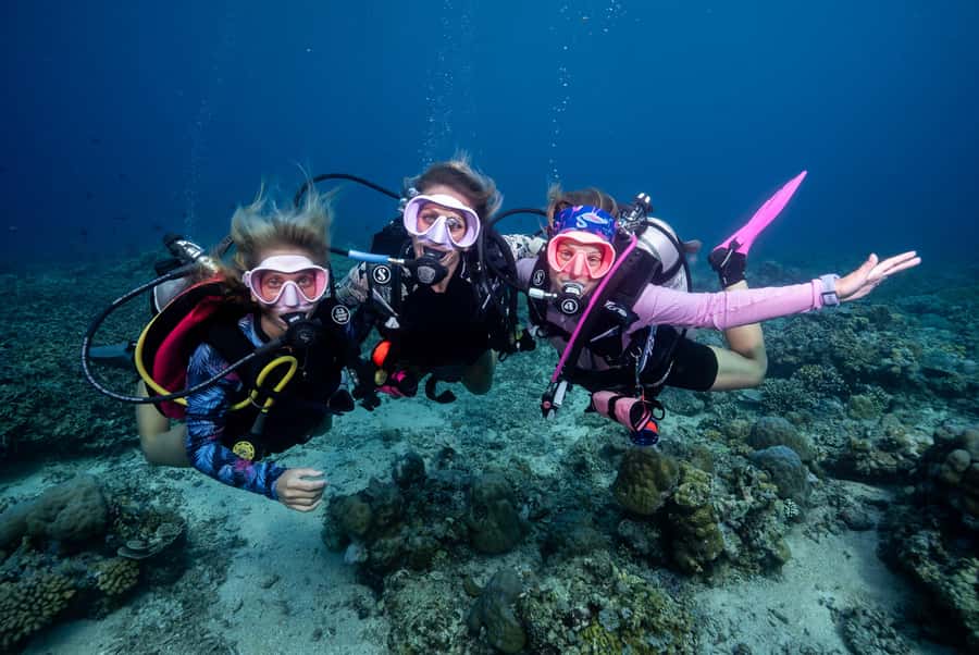 Gili Trawangan : Discovery Scuba Diving - Small Groups and Calm Instructors, Why It Feels Safer