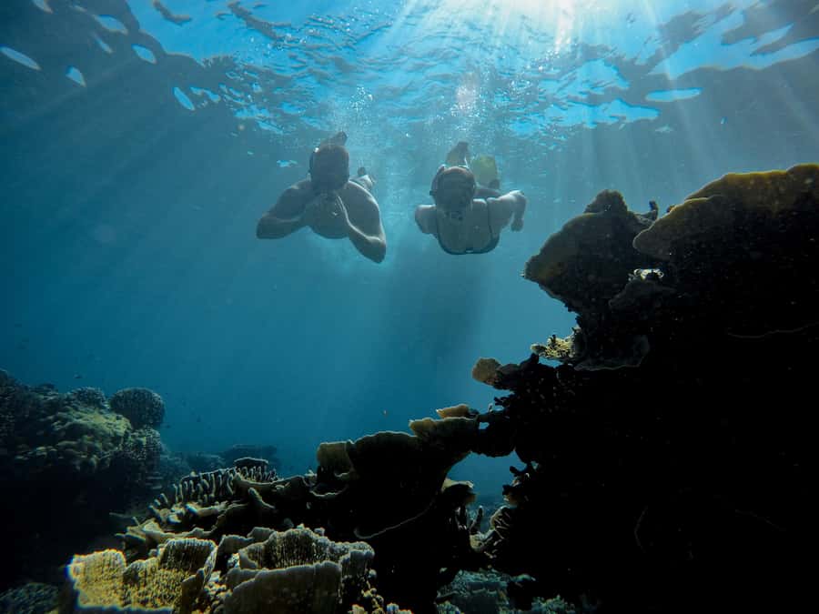 Gili Trawangan : Half Day Snorkeling with Turtle and Statue - Glass-bottom boat viewing: useful, but watch the window space