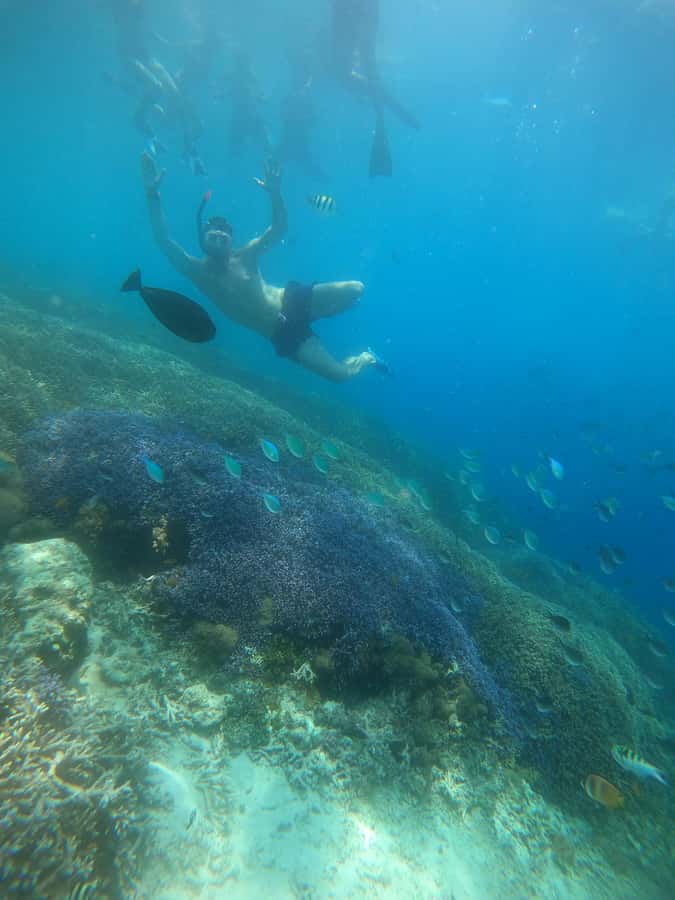 Gili Trawangan : Half Day Snorkeling with Turtle and Statue - Quick practical guidance for the day (so you enjoy it more)