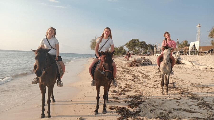 Gili Trawangan: Horse Riding on the Beach - Should you book this beach horse ride on Gili Trawangan?