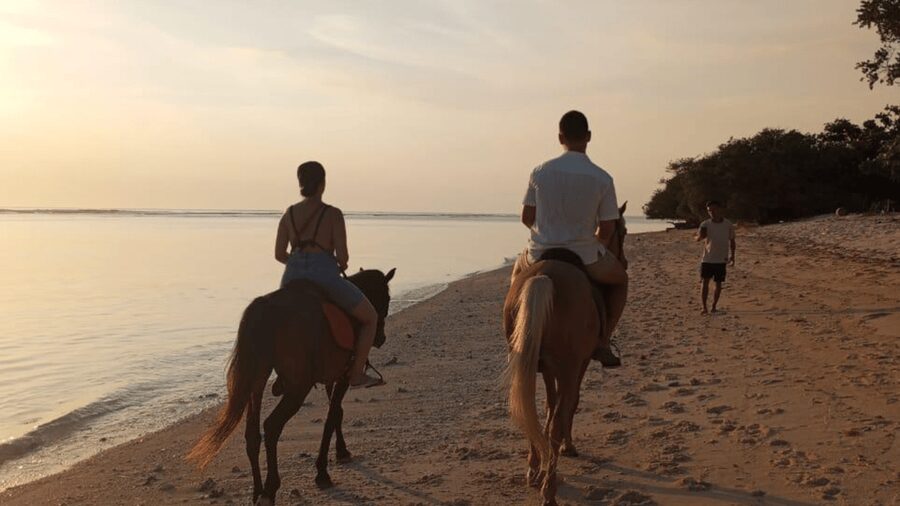 Gili Trawangan: Horse Riding on the Beach - Choosing between the short and longer ride