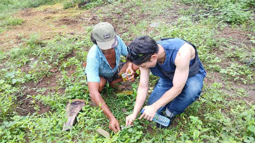 Gili Trawangan: Magic Mushroom Tour with Jungle Breakfast - Return trip to Gili Trawangan and how the half-day feels