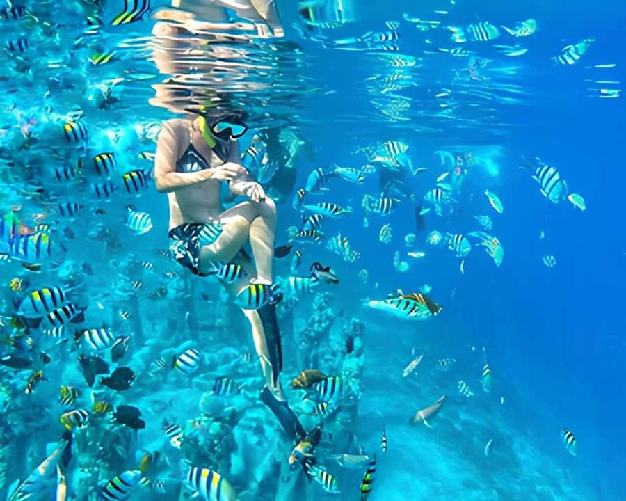 Gili Trawangan: Private Snorkeling 4 Spots Turtle with Gopro - From Gili Trawangan meeting point to Gili Meno water time