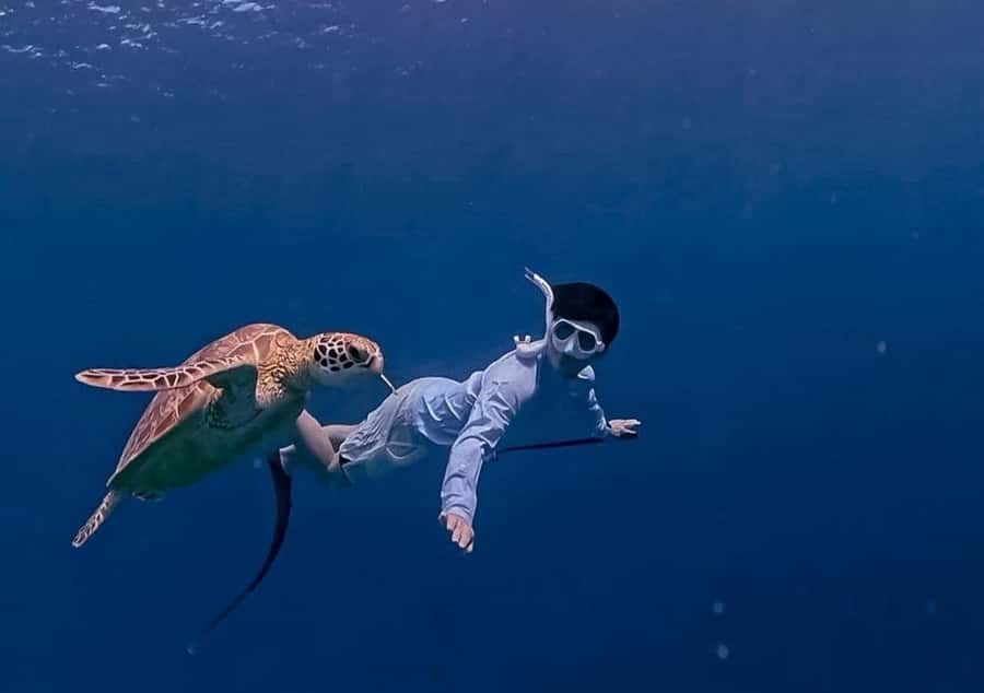 Gili Trawangan: Private Snorkeling 4 Spots Turtle with Gopro - Stop 2: Blue Coral, where fish and reef details show off