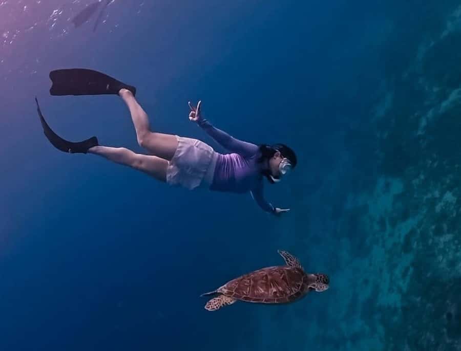 Gili Trawangan: Private Snorkeling 4 Spots Turtle with Gopro - Stop 3: Turtle Point, the stop most people book for