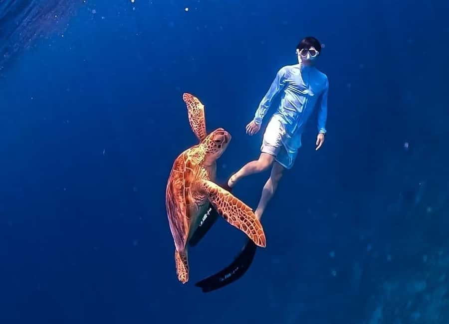 Gili Trawangan: Private Snorkeling 4 Spots Turtle with Gopro - Stop 4: Coral Garden, your final reef payoff