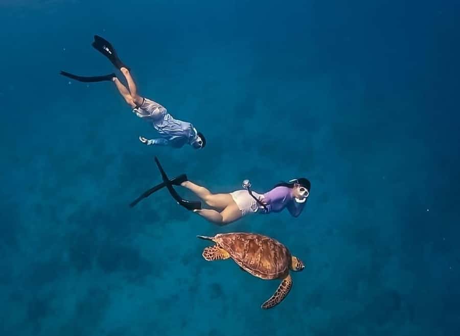 Gili Trawangan: Private Snorkeling 4 Spots Turtle with Gopro - GoPro included, and how the souvenir part really works