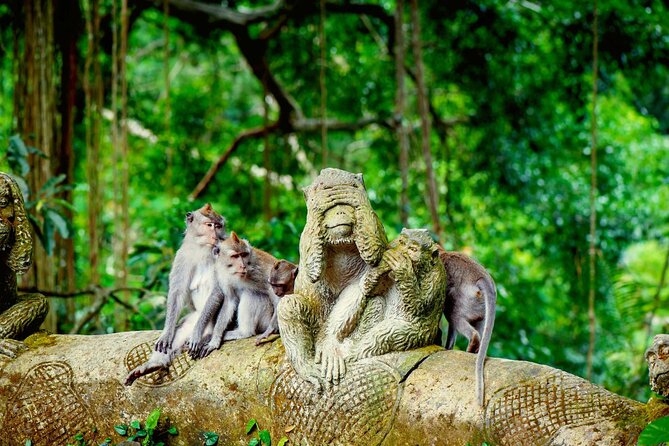 Goa Gajah / Elephant Cave Temple And Ubud Tour - All Inclusive - One Day Routing: Goa Gajah, Ubud, and Tirta Empul Without the Stress
