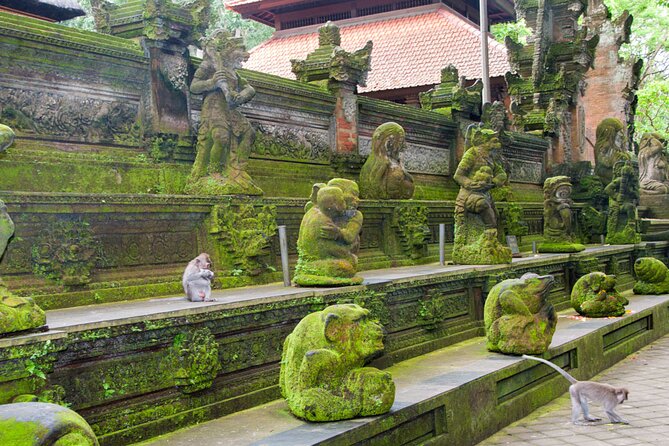 Goa Gajah / Elephant Cave Temple And Ubud Tour - All Inclusive - Ulu Petanu Waterfall: A Quieter Pause for Greenery and Swimming