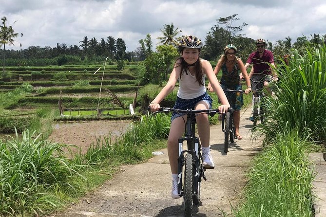Half Day Cycling Tour ( Manual Bike ) - Key highlights worth clocking before you go